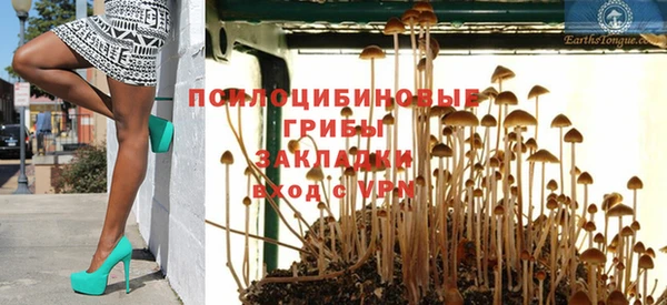 первитин Дмитров