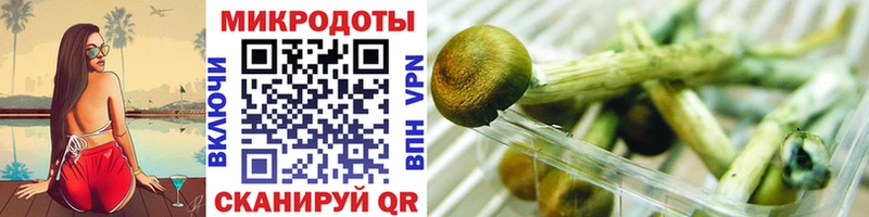 Псилоцибиновые грибы Psilocybe  Озёрск 